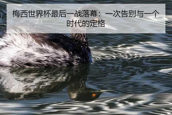 梅西世界杯最后一战落幕：一次告别与一个时代的定格